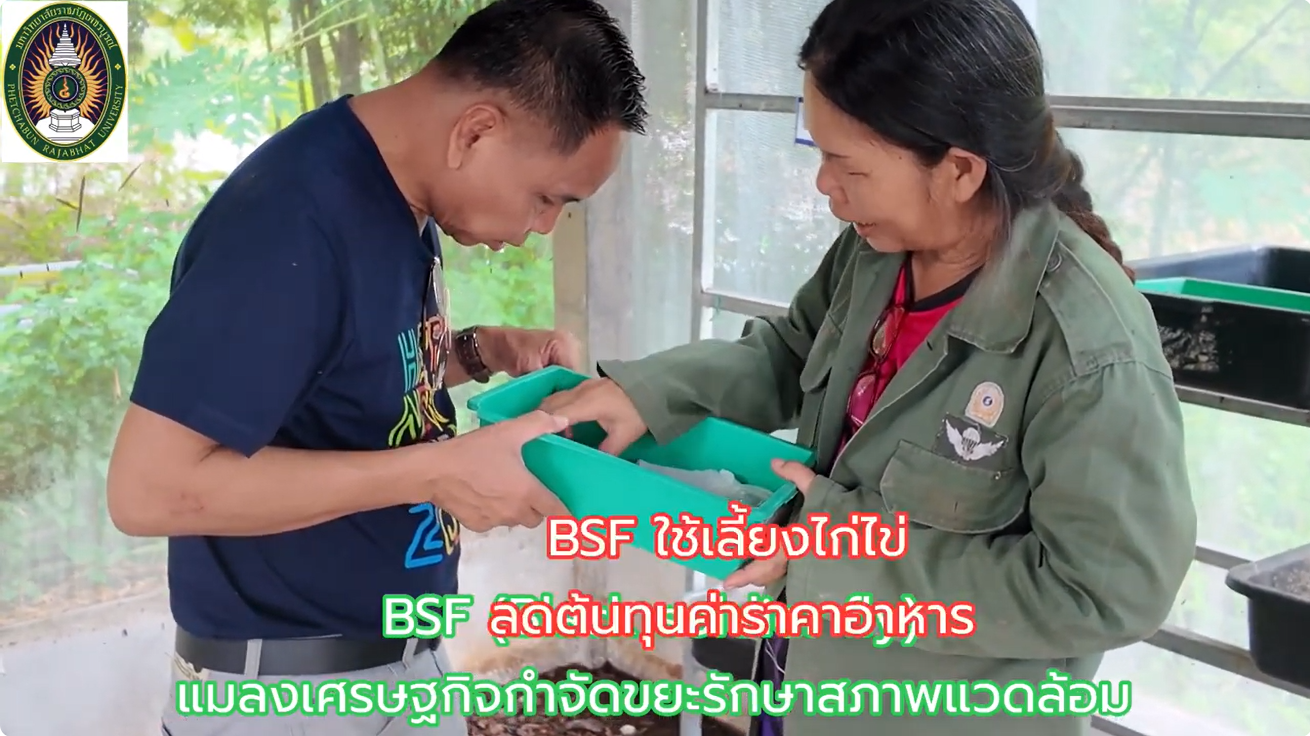 Screenshot 2025-10-08 093318